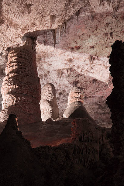 Carlsbad Caverns National Park "Hall of Giants" "Stalagmites, Stalagtites and formations in the Hall of Giants area of the Big Room in Carlsbad Caverns National Park" carlsbad texas stock pictures, royalty-free photos & images
