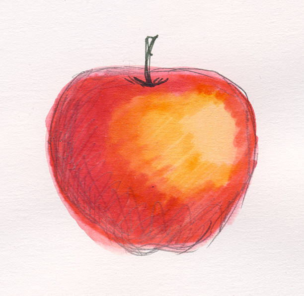 Painted watercolor apple stock photo
