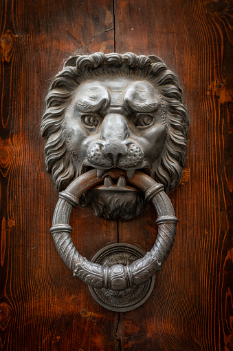 Lock and knocker on old door