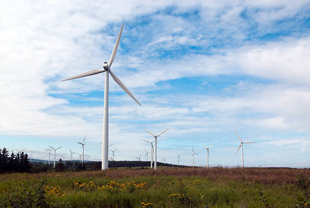 Wind turbines on field and blue sky