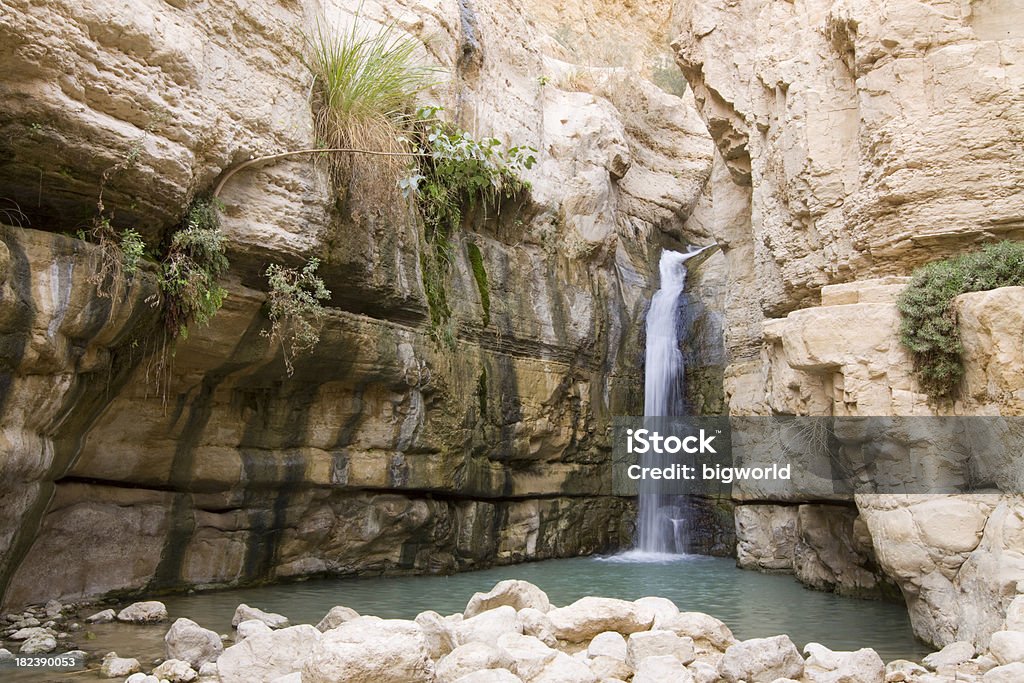 Canyon-Wasserfall - Lizenzfrei Ein Gedi Stock-Foto
