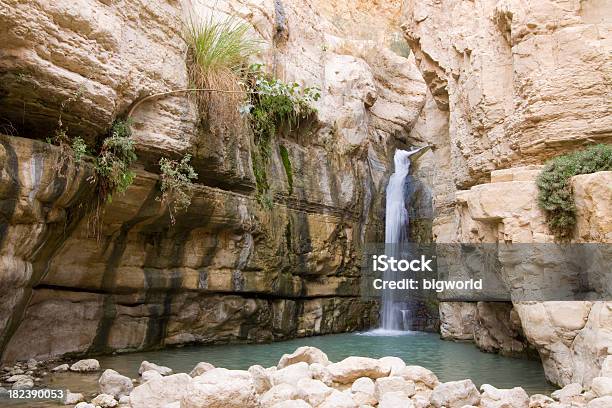 Canyonwasserfall Stockfoto und mehr Bilder von Ein Gedi - Ein Gedi, Israel, Canyon
