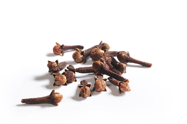 nelken - clove spice isolated white stock-fotos und bilder