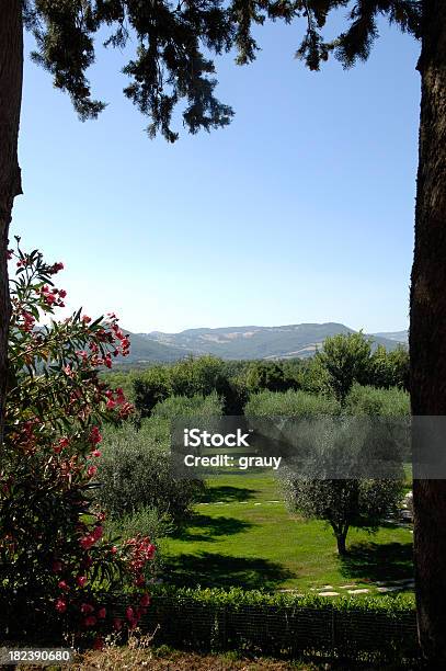 Paradisiac En Toscana Sovana Jardín Foto de stock y más banco de imágenes de Aire libre - Aire libre, Crecimiento, Delante de