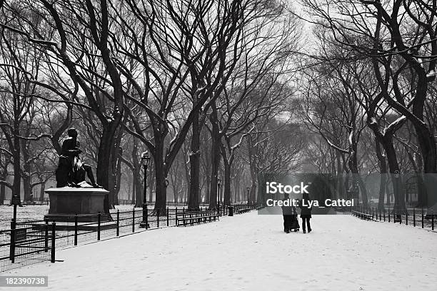 Photo libre de droit de Vue Sur Central Park 7 Jours banque d'images et plus d'images libres de droit de Arbre - Arbre, Arbre sans feuillage, Banc