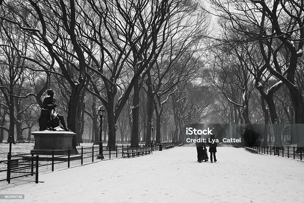 Central Park Vista # 7 - Royalty-free Andar Foto de stock