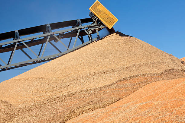 istock Grain Dumping from Conveyor Belt to Pile 182392295