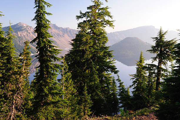 istock Trees and Crater Lake 182392431