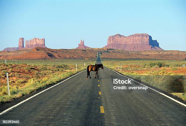 Foto de Arizonan Cavalo e mais fotos de stock de Animal - Animal, Arizona, Cavalo - Família do cavalo