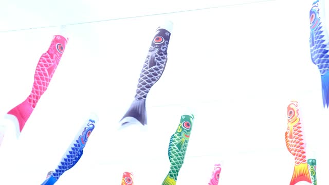 The koi fish flags are fluttering beautifully in the wind.