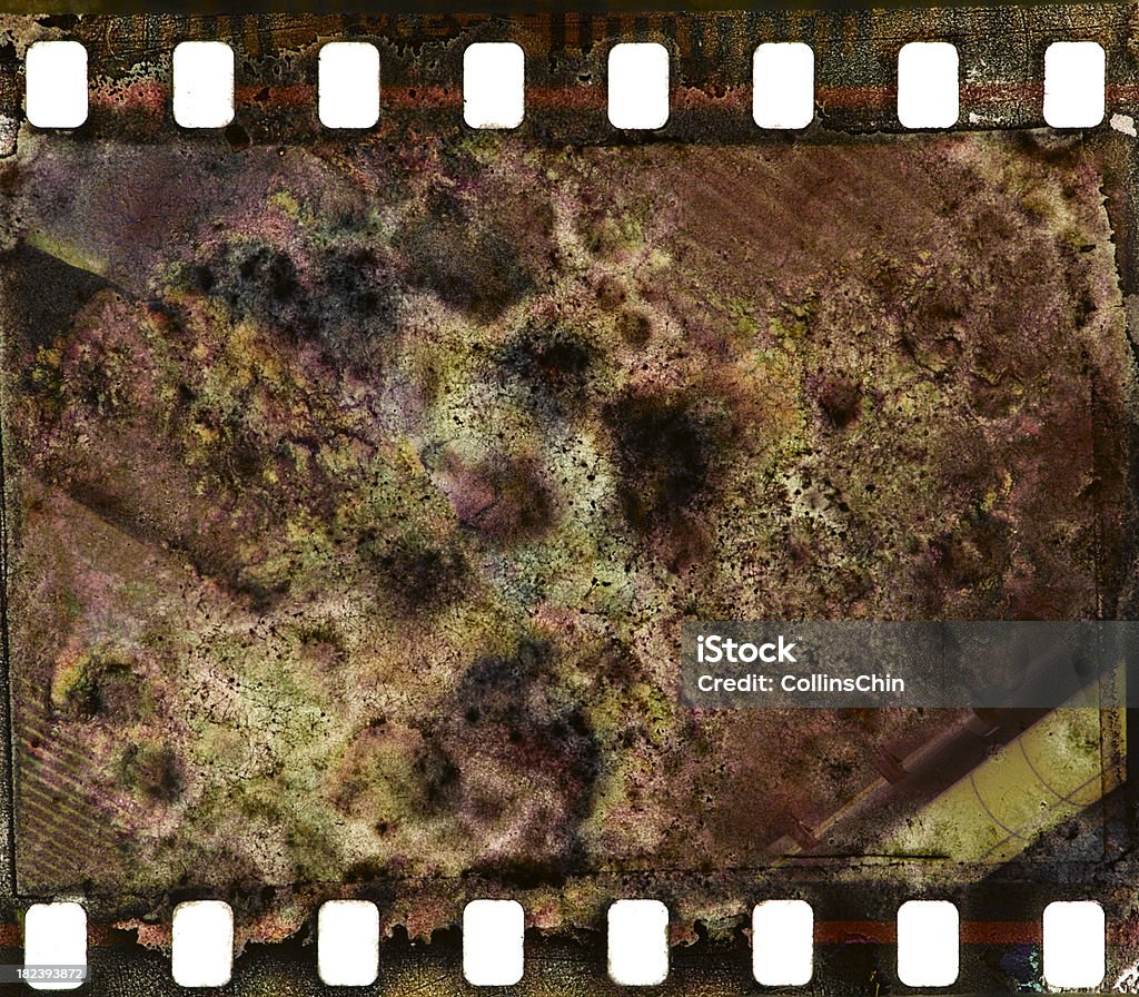 成形または菌フィルム - カビのロイヤリティフリーストックフォト