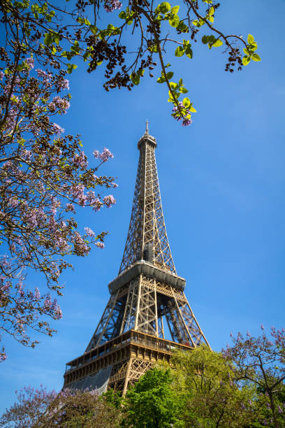 istock Eiffel Tower, Paris, France 1823939508