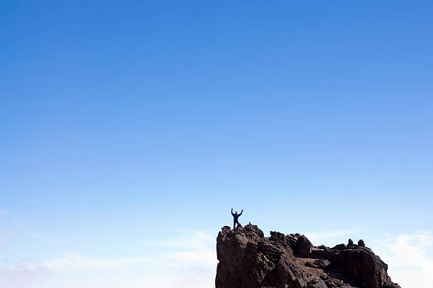 istock Man standing on top of the world 182393983