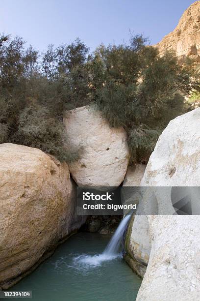 Waterfall In A Gedi Nature Reserve Stock Photo - Download Image Now - Judean Desert, Boulder - Rock, Canyon