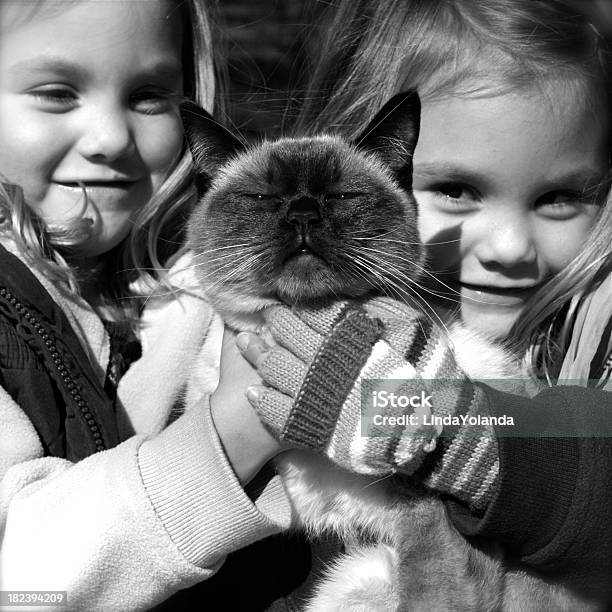 Gato Unimpressed - Fotografias de stock e mais imagens de Criança - Criança, Engasgar, 2-3 Anos