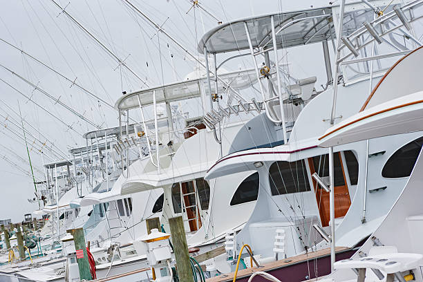 istock Yachts lined up in the harbor 182394445