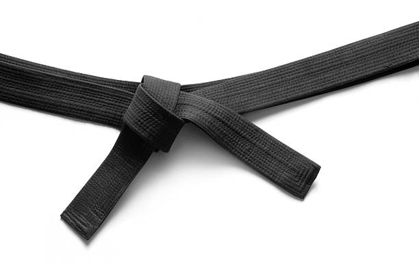 deportes: judo de la correa negra - judo fotografías e imágenes de stock