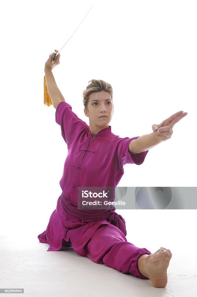 Divisão de Wushu - Royalty-free Kung-Fu Foto de stock