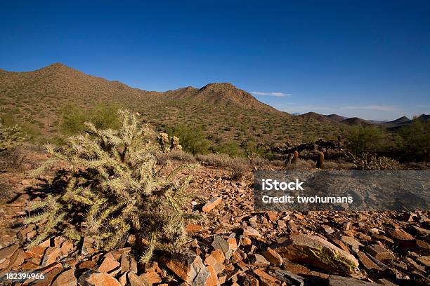 Foto de Em Pé Um e mais fotos de stock de Apache Trail - Apache Trail, Arizona, Atividade Recreativa