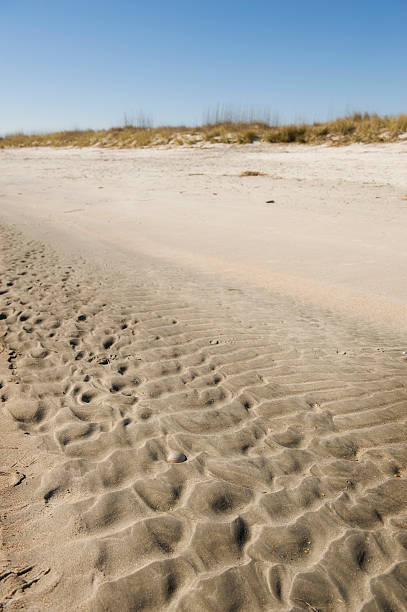 Rippled sand along a beach with shell stock photo