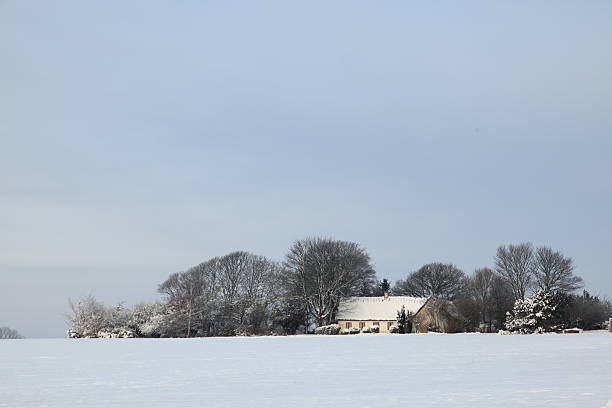 istock Winter countryside in Denmark 182395103