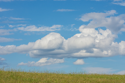 green grass with white clouds on the blue sky in the summer
