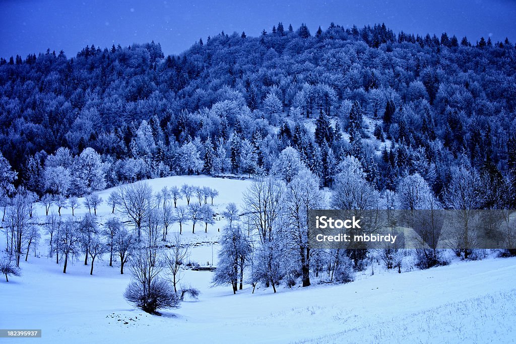 Idílico de Inverno Paisagem com NevadasComment - Royalty-free A nevar Foto de stock