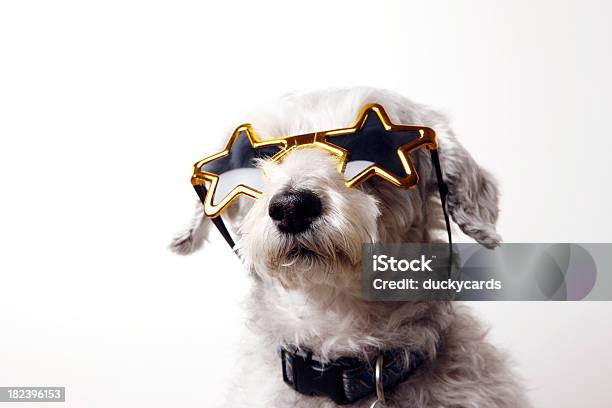 Canino Superstar Foto de stock y más banco de imágenes de Fondo blanco - Fondo blanco, Perro, Forma de Estrella