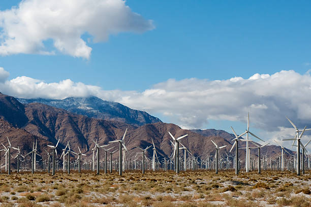 Dense Wind Farm in The Desert stock photo
