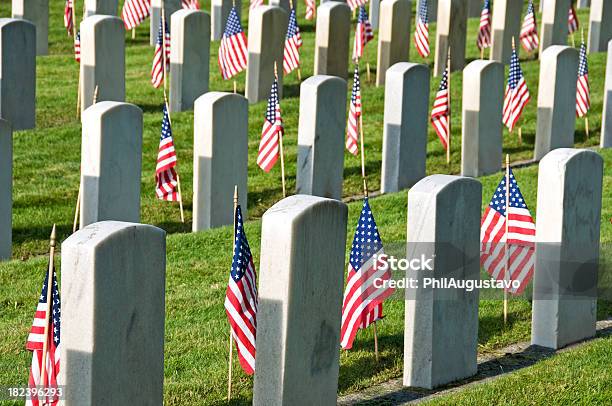 Flags At Gravestones On Veterans Day In Usa Stock Photo - Download Image Now - Grave, US Veteran's Day, American Flag