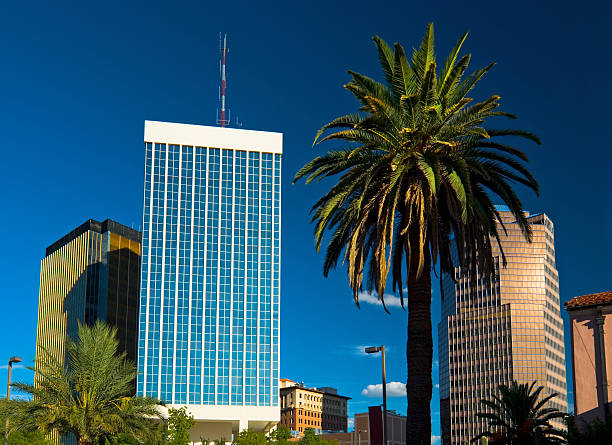 istock Tucson buildings and a palm tree 182396562