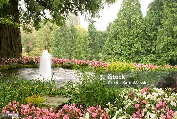 Fontana Nel Giardino - Fotografie stock e altre immagini di Aiuola - Aiuola, Balsamina, Cedro