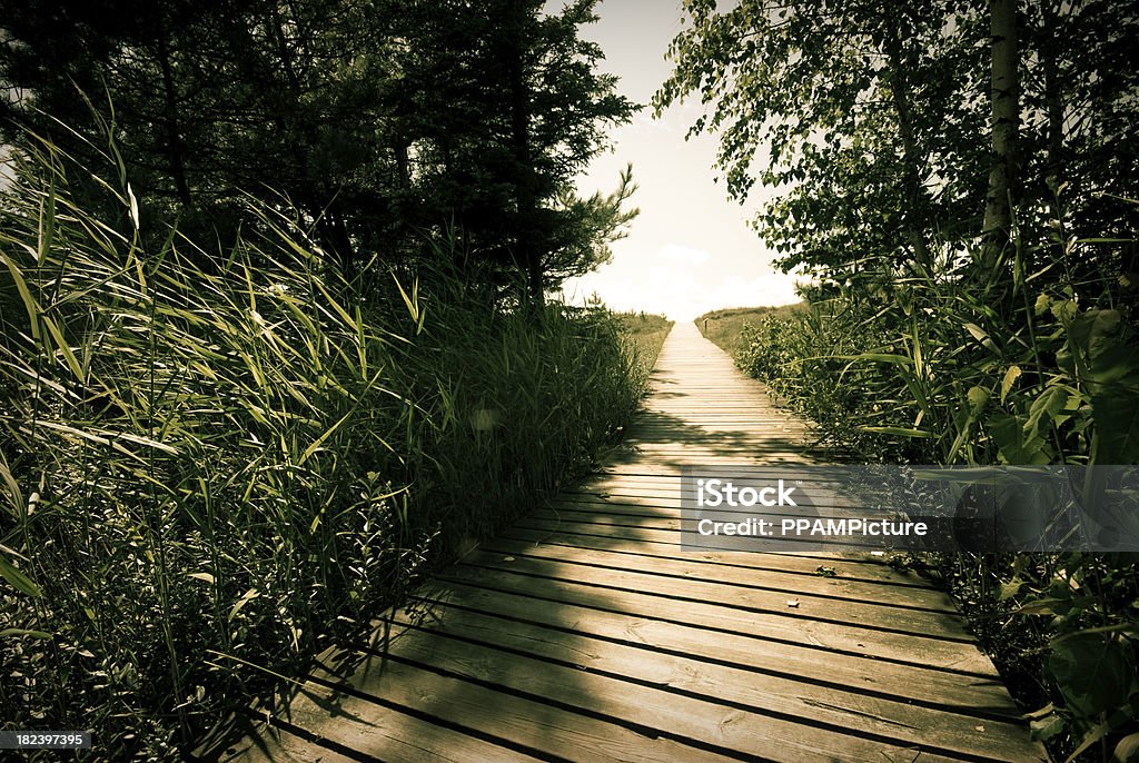 Caminho pelas dunas - Foto de stock de Azul royalty-free