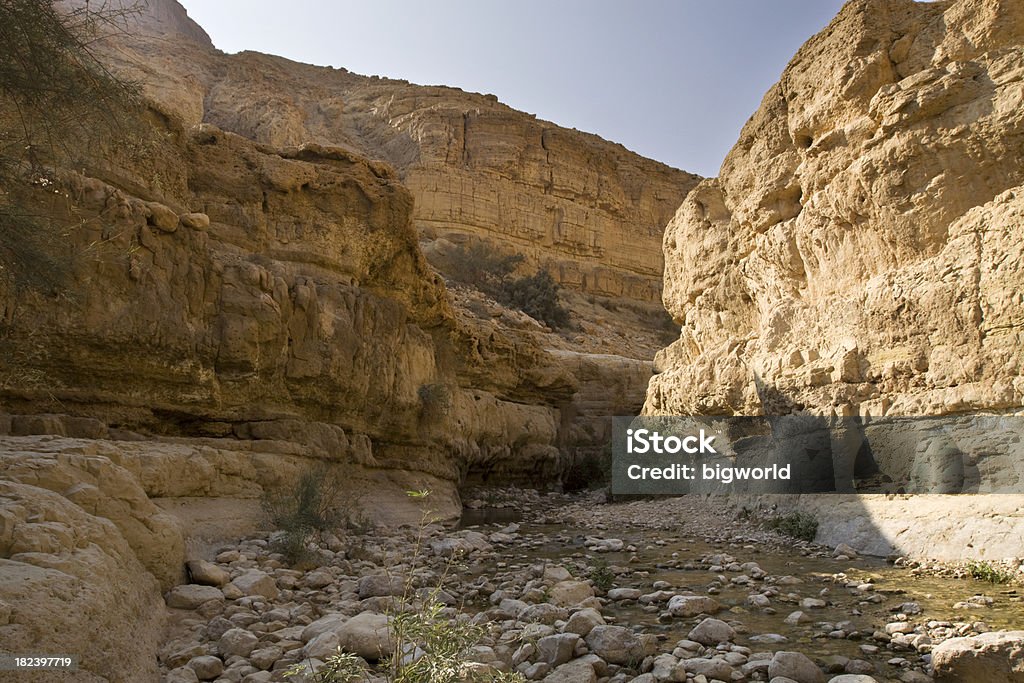 Каньон Русло реки - Стоковые фото Judean Desert роялти-фри