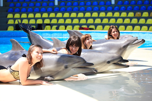 Four young women and four dolphin in the pool