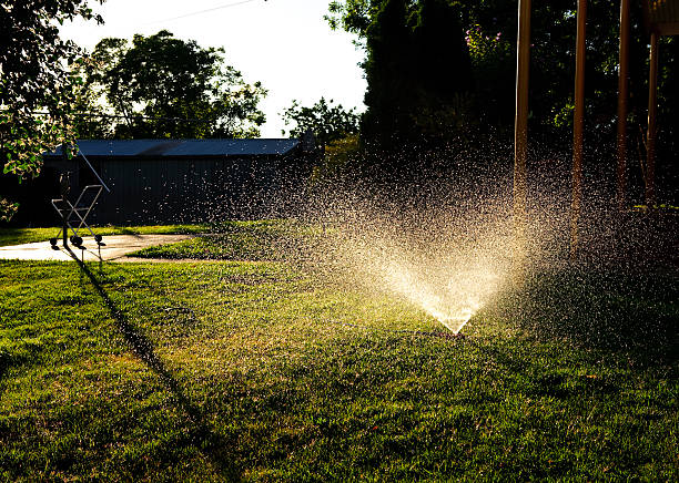 istock Sprinkler watering lawn with water 182397745