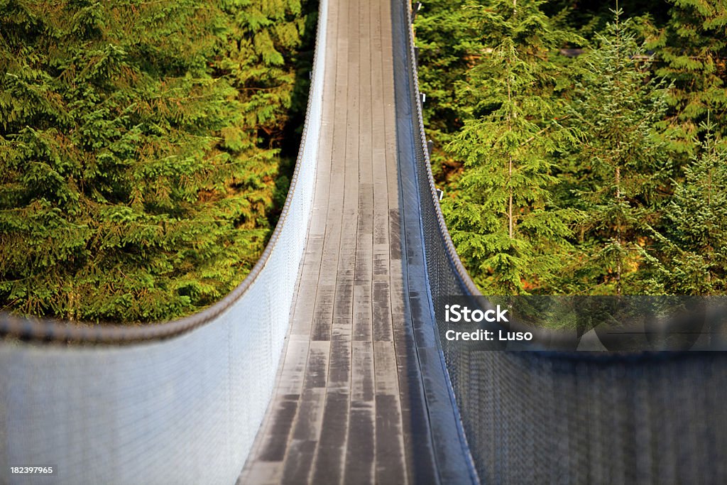 Suspention Ponte sul fiume Capilano - Foto stock royalty-free di Canada