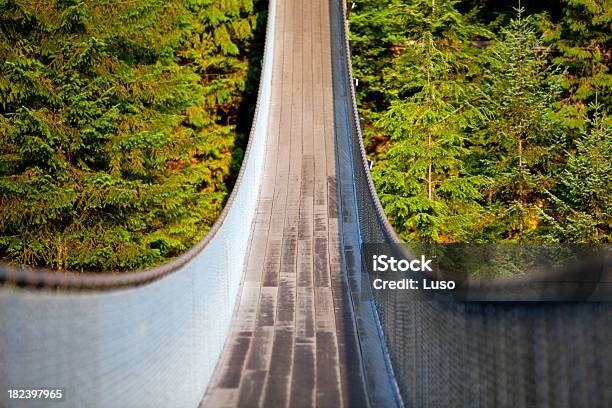 Suspention Ponte Sul Fiume Capilano - Fotografie stock e altre immagini di Canada - Canada, Columbia Britannica, Composizione orizzontale