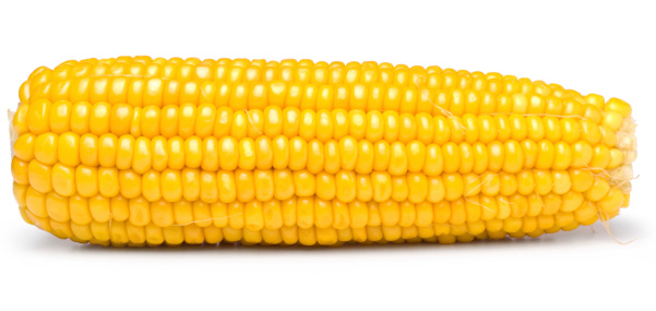 Close up , Single ear of corn isolated on white background