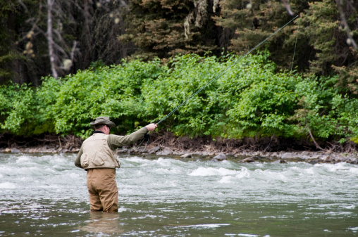 Man fishing for rainbow trout in the gallatin river in Montana.
