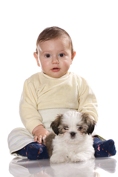 istock Baby boy with little dog 182398355