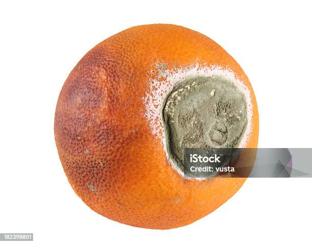 Decaying Pomarańczowy - zdjęcia stockowe i więcej obrazów Bez ludzi - Bez ludzi, Białe tło, Fotografika