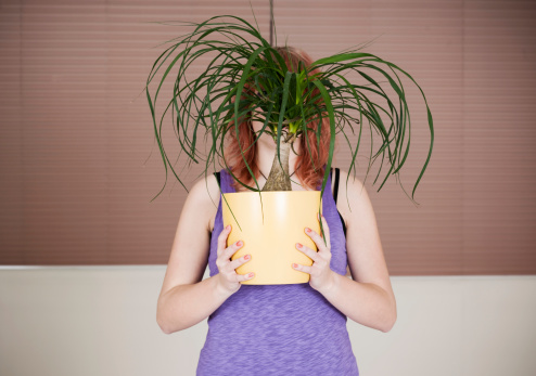 Young woman with plant in front of her head.See similar photos and more of student life:
