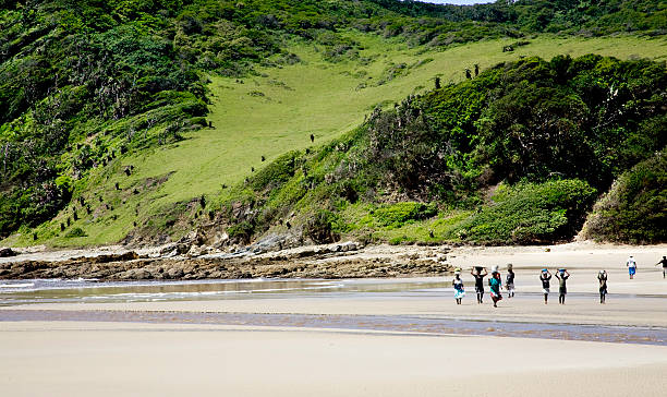 A group of rural african oyster gatherers heading home along the beach at low tide with their oysters balanced on their heads. Transkei or as it is often called the Wild Coast. Eastern Cape South Africa.Here are similar images.