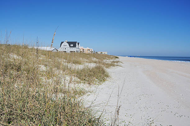 istock Amelia Island Florida Beach House Row along Atlantic Ocean Shore 182399482