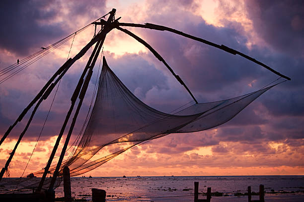 Chinese Fishing Nets At Sunset In Kochi India Stock Photos, Pictures &  Royalty-Free Images - iStock