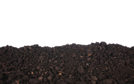 A border of black dirt with a white background and copy space.PLEASE CLICK ON THE IMAGE BELOW TO SEE MY SEEDLINGS LIGHTBOX: