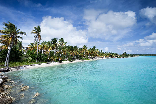 Beach sand background for summer vacation concept. Nature of the beach and sea, summer with sunlight, sandy beach The sparkling sea water contrasts with the blue sky and coconut trees.