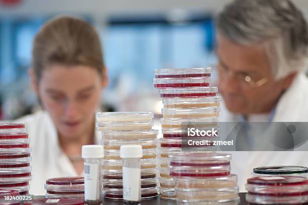 Foto de O Laboratório Microbiologia e mais fotos de stock de Adulto - Adulto, Cientista, Ciência