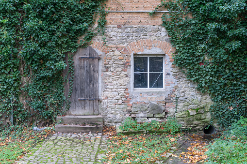 Detail of a building with ivy, wooden door and window